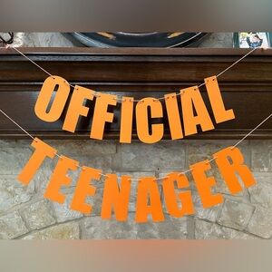 “OFFICIAL TEENAGER” Banner (Orange)